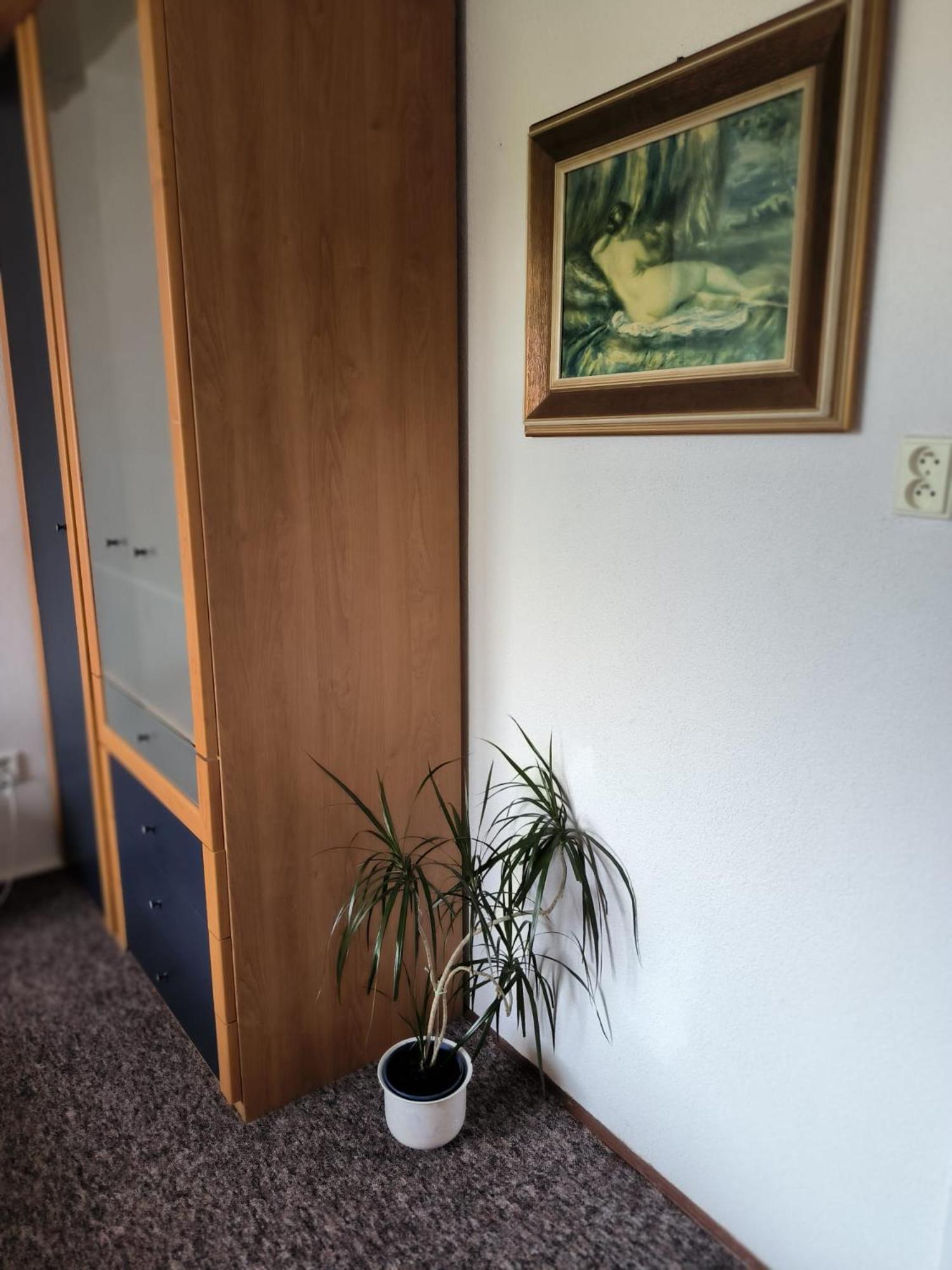 Chata Rybná 18 Pernink Kültér fotó